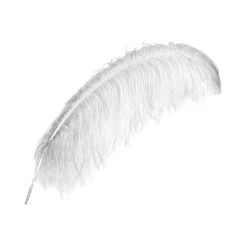 ostrich feather clipart image