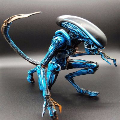 NECA คนต่างด้าวสีฟ้าคนต่างด้าว Xenomorph Figma Predator ของเล่น Ripley รูปการกระทำ NECA รุ่นของเล่นของขวัญ18เซนติเมตร