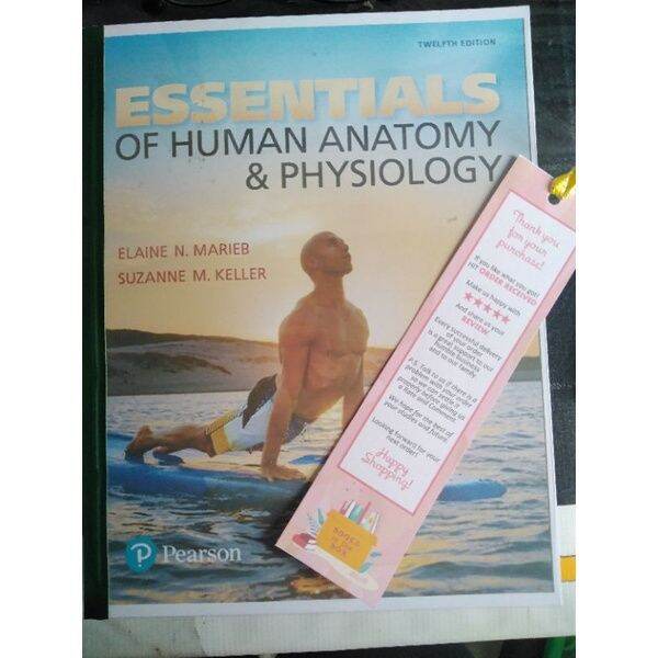 Essentials Of Human Anatomy And Physiology 12th Ed (Pearson) | Lazada PH