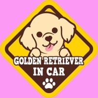 ( โปรสุดคุ้ม... ) สติ๊กเกอร์ติดรถยนต์ BOC8 สั่งทำ สติ๊กเกอร์ ติดรถ " Golden Retriever " สติ๊กเกอร์ติดรถ แต่งรถ สุดคุ้ม สติ ก เกอร์ ติด รถ สติ๊กเกอร์ ออฟ โร ด สติ ก เกอร์ ข้าง รถ กระบะ สติ ก เกอร์ ข้าง รถ สวย ๆ