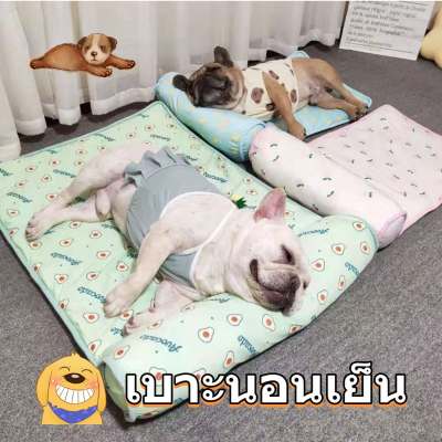【Ewyn】Pet Coolmat ที่นอนเจลเย็น ที่นอนสัตว์เลี้ยง แบบหนา เบาะนอนเย็น ที่นอนเย็น ที่นอนสุนัข แผ่นเจลเย็นสุนัข แผ่นเจลเย็นแมว
