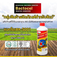 สารทำน้ำใส BACTOCEL แบคโตเซล 5001 1000cc 1 ขวด รักษาน้ำในบ่อ น้ำใส น้ำมีกลิ่นเหม็น จุลินทรีย์น้ำใส บ่อปลา ป้องกันโรค และ น้ำขุ่น น้ำเขียว น้ำเน่า