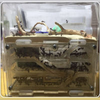 150mmx54mmx110mm Big DIY Moisture With Feeding Area Ant Nest ,Ant Farm Acrylic, Insect Ant Nests Villa For House Ants