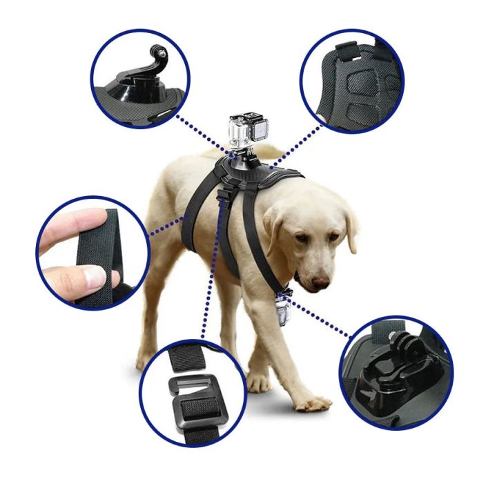 สายสายจูงสัตว์เลี้ยงสุนัขพร้อมฐานขายึดกล้องโกโปรแบบปลดเร็ว-hero10-9-8กล้องแอคชั่นแคมเมรา-youtube-video-puppy-vlog