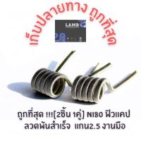 ถูกที่สุด !!![2ชิ้น 1คู่] Ni80 ฟิว ลวดพันสำเร็จ แกน2.5 งานมือ