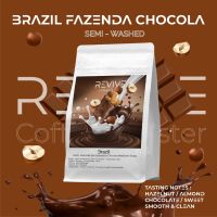 Revive Coffee Roaster เมล็ดกาแฟคั่ว Brazil Fazenda São Sebastião Chocolate Semi-Washed Medium