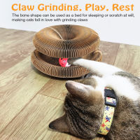 ANPRO ของเล่น Papan Garukan Kucing ออร์แกนมหัศจรรย์สำหรับสัตว์เลี้ยง,พร้อมลูกบอลที่ฝนกรงเล็บแมวโครงสำหรับปีนป่ายของแมวเล่นรอยหีบเพลงแมว