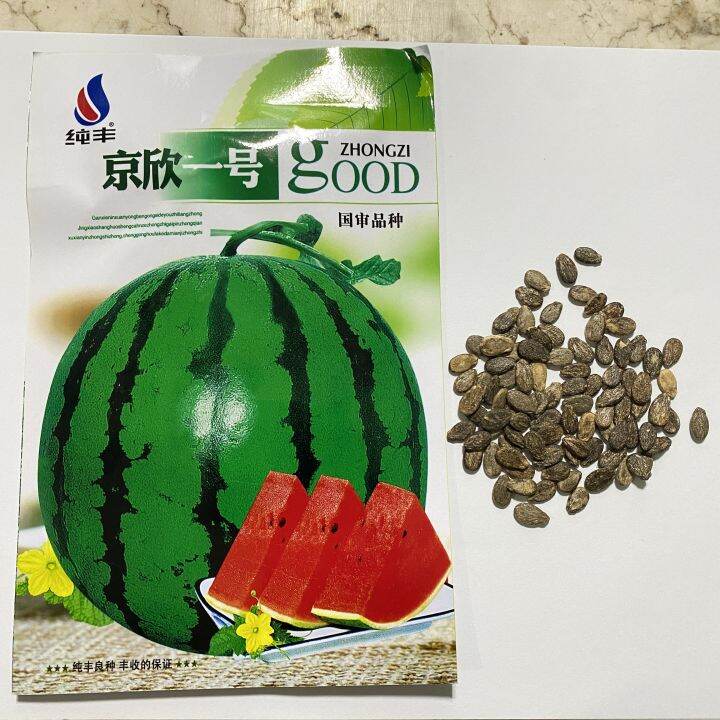 Hybrid Fruits and Vegetable 50 Seeds for Planting | Lazada PH