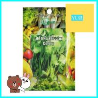 เมล็ดพันธุ์ขึ้นฉ่าย กรีน การ์เด้นCELERY SEED GREEN GARDEN **คุณภาพดี**