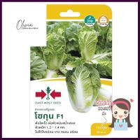 ผักกาดขาวปลี F1 โชกุน ศรแดงCHINESE CABBAGE SEED EAST-WEST SEED SHOGUN F1 **บริการเก็บเงินปลายทาง**