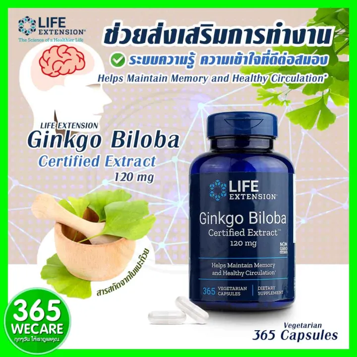 Life Extension Ginkgo Biloba 365 แคปซูล 365wecare Lazada.co.th