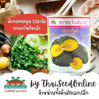 ADV กป 250กรัม เมล็ดพันธุ์ ฟักทอง ทองพูน ฟักทองผิวคางคก ตราตะวันต้นกล้า Pumpkin