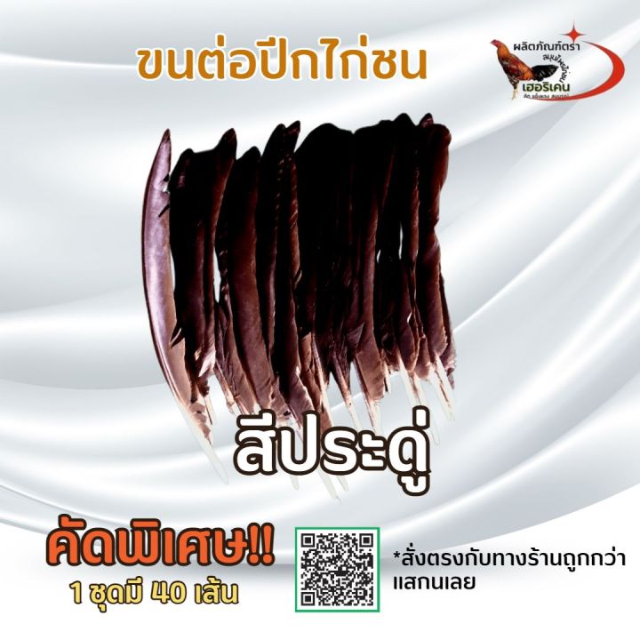 ปีกต่อไก่ชนไม่เปาะ-ปีกแข็งแรง-คัดพิเศษ-ขนต่อปีกไก่ชน-1ชุดมี-40เส้น-ขาว-สา-ดู่-กรด-หม่น-ดอก