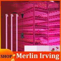 Merlin Irving Shop Plants Full Spectrum LED flower Grow tent box Light grow Greenhouse Phyto lamp kit red blue veg Indoor Cultivation Growth Lights