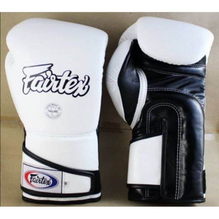 Fairtex BGV6 Boxing Gloves 12oz 14oz Lazada PH