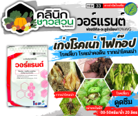 ? วอร์แรนต์ (ฟอสอิทิล-อะลุเนียม80%WG) บรรจุ 1กิโลกรัม เก่งโรคเน่า ไฟท๊อป