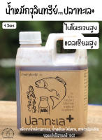 น้ำหมักปลาทะเล+ น้ำหมักจุลินทรีย์จากปลาทะเล เติมไคโตซาน สาหร่ายSpirulina และนมดิบหมัก หัวเชื้อเข้มข้น ขนาดบรรจุ 1 ลิตร