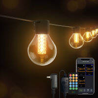 Festoon LED String Light G40 Shatterproof Globe Bulb Patio Light พวงมาลัยกลางแจ้งสําหรับตกแต่งงานแต่งงานในสวน 7.5M 15M