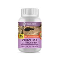 ว่านชักมดลูก Curcuma Xanthorrhiza Herb Capsule 100% (เกรดพรีเมี่ยม) ชนิดแคปซูล บรรจุ 60 เม็ดแคปซูล