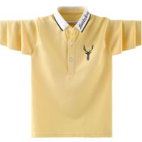 2023 ✤﹍ Childrens golf long-sleeved T-shirt spring and autumn lapel polo shirt youth golf caddy clothing base layer for middle and older children