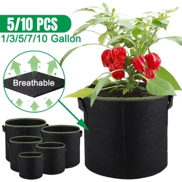 10pcs 10 Gallon Plant Grow Bags Potato Fruit Vegetable Planter Garden  Growing US