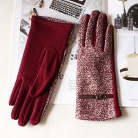 Knitted Cotton Gloves Womens Thin Elastic Spring and Autumn Brushed Lining to Keep Warm For Female Students Daily Wear