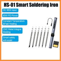 FNIRSI HS-01 Smart Electric Soldering Iron+6Xsoldering Heads PD 65W Adjustable Constant Temperature Fast Heat Soldering Iron