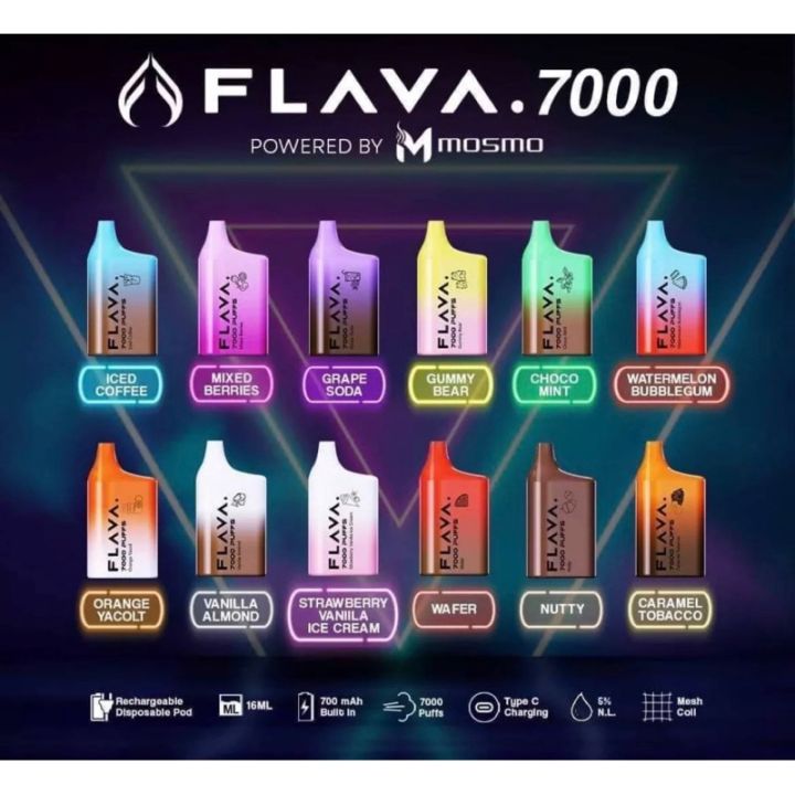 E-cigarettes Flava Disposable Vape 7000 puffs 16 mL | Lazada PH