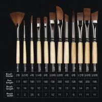 【】 zsdcpt 12pcs Multifunctional Paint Brush Set Nylon Hair Watercolour Gouache Painting Brushes Kit with Box