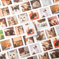 Journamm สติกเกอร์แพลนเนอร์ ลายแมวน่ารัก สําหรับตกแต่งสมุดภาพ อัลบั้มรูปภาพ เครื่องเขียน DIY 46 ชิ้น ต่อล็อต