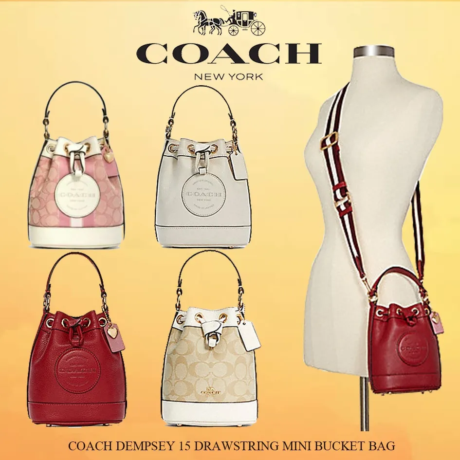 Coach Micro Ally Bucket Bag