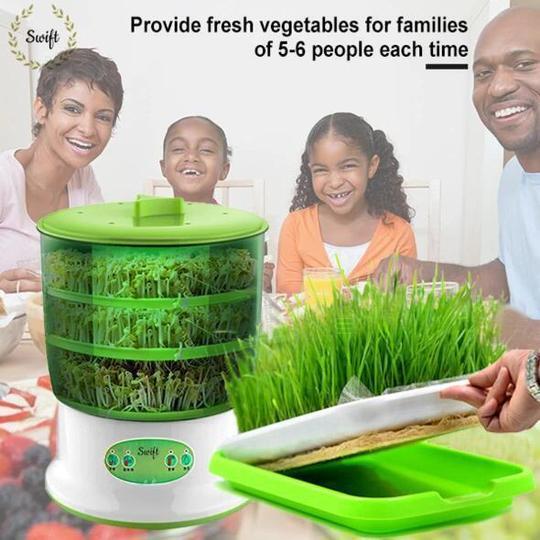 Bean Sprouts Maker Thermostat Green Vegetable Seedling Growth Bucket Automatic 