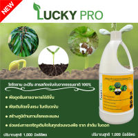 ไคโตซานอะมิโน1000ML.เพิ่มอาหารสร้างภูมิคุ้มกัน ต้านทานโรคและแมลง เร่งราก ใบ ดอกและผลLUCKY PROปรับสภาพดินและน้ำเจริญเติบโตแข็งแรงดี