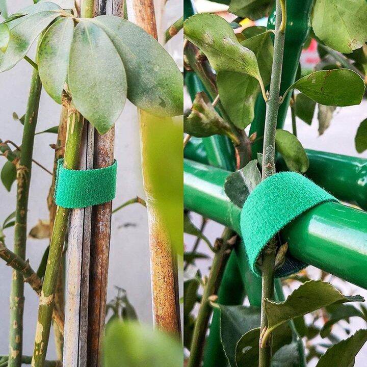 HUGHES Nylon 1 Roll Hook Loop Arrangement Holder Plant Bandage Garden ...