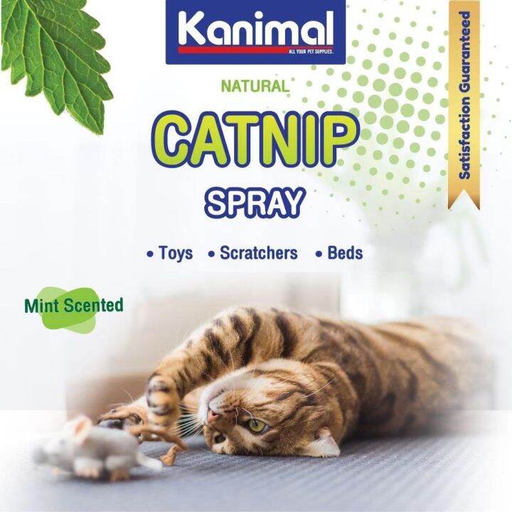 kanimal-catnip-spray-สเปรย์แคทนิป-ผงแคทนิป-กัญชาแมว-ช่วยให้แมวผ่อนคลาย-ลดความเครียด-แมวสนุกเคลิบเคลิ้ม