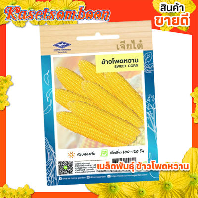 เมล็ดพันธุ์ผัก เมล็ดข้าวโพด หวาน เจียไต๋ ( sweet corn seed ) บรรจุ 136 เมล็ด/ซอง ขนาด 15 บาท ตรา เครื่องบิน