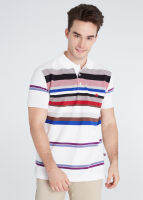 เสื้อโปโลแขนสั้นผู้ชายมีกระเป๋า  Maximo Dente คอปก ลายริ้ว คลาสสิค สไตล์ยุโรป สำหรับผู้ใหญ่ รุ่น CV-57-1 เริ่มตั้งแต่Size S-8XL (jumbo)