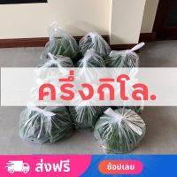 ใบท่อม ใบเศษสำหรับต้ม ครึ่งกิโล (500กรัม) ใบใช้ต้ม