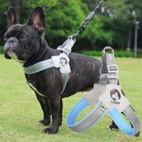 Dog Harness Adjustable Pet Harness Vest For Small Large Dogs Cats Reflective Mesh Dog Chest Strap French Bulldog Walk Training Collars