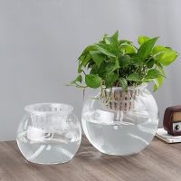 [COD] transparent round flower pots automatic water-absorbing lazy green utensils hydroponic vases spherical fish tank