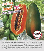 เมล็ดพันธุ์  มะละกอ เรดเลดี้ 786 - Papaya (Hybrid) Red Lady ตราดอกแตง เมล็ดพันธุ์คุณภาพ "เพื่อนเกษตรกร"