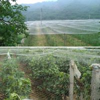 【CW】 1.5cm Anti Catcher Netting Pond Net Fishing Traps Crops Fruit Vegetables Garden Mesh Pest