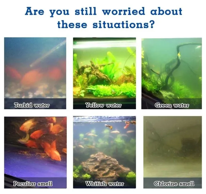 Hellofuture Aquarium quickcleaning powder Disintegrated Purifier Fish