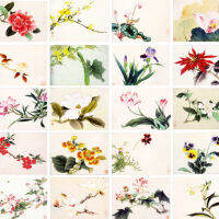 Yu Zhizhen ภาพวาดจีนแบบดั้งเดิม Line Draft Floral Sketch ชุดภาพวาดอย่างพิถีพิถันต้นฉบับ Hand-Painted Colorable Paper