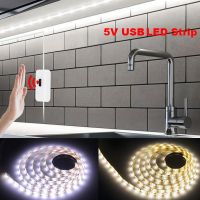 hot！【DT】 Led Strip Lights Usb With Sensor 5V Warm Color Wall Room Bar Backlight Under The Closet Tape