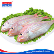 Chỉ giao HCM  Cá đổng khay 400-500 gram - Sài Thành Foods