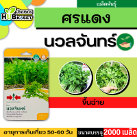 ศรแดง ?? ขึ้นฉ่าย นวลจันทร์ ขนาดบรรจุประมาณ 2000 เมล็ด อายุเก็บเกี่ยว 50-60 วัน