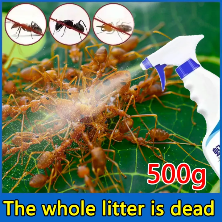 ant killer spray termite killer 500ml Serial killing of black, red and
