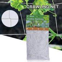 【CW】 Trellis Net Heavy-Duty Polyester Support Vine Climbing Protector Hydroponics Garden Netting Use