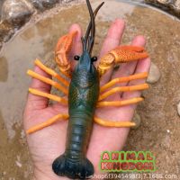 Animal Kingdom - โมเดล Crayfish กุ้งเครฟิช เขียว ขนาด 18.00 CM (จากสงขลา)